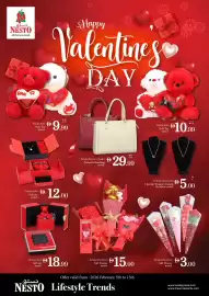 Nesto catalogue Page 3