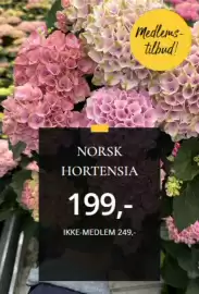 Floriss kundeavis Side 2