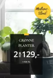 Floriss kundeavis Side 3