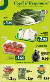 Volantino Ipercoop Radenza settimana 6 Pagina 22