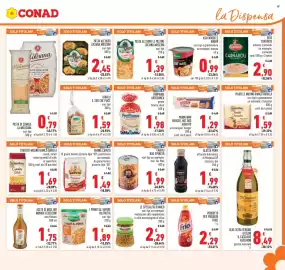 Volantino Conad Pagina 17