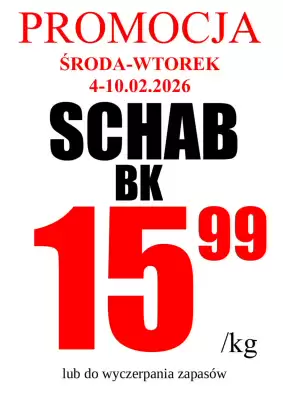 Wizan gazetka (ważność do 10-02)