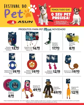 Encarte Asun (válido até 18-02)
