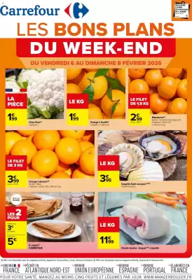 Catalogue Carrefour (valable jusqu'au 8-02)