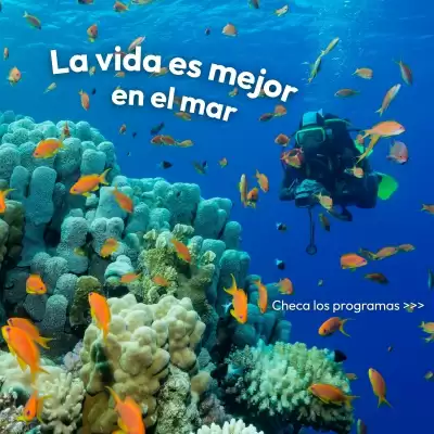 Catálogo Mega Travel (válido hasta 18-02)