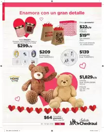 Folleto Chedraui Página 17
