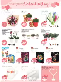 V Markt Prospekt woche 7 Seite 15