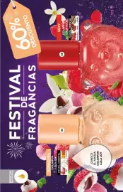 Catálogo Fuller Página 10