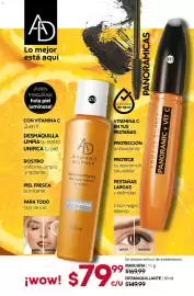 Catálogo Fuller Página 106