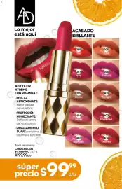 Catálogo Fuller Página 108