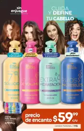 Catálogo Fuller Página 117