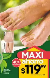 Catálogo Fuller Página 125