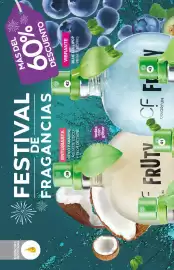 Catálogo Fuller Página 14