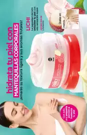 Catálogo Fuller Página 146