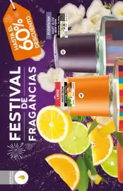 Catálogo Fuller Página 18