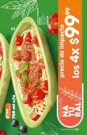 Catálogo Fuller Página 205