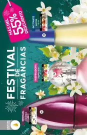 Catálogo Fuller Página 22