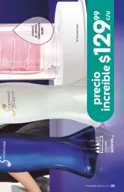 Catálogo Fuller Página 29