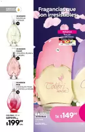 Catálogo Fuller Página 32