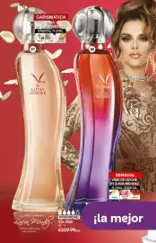 Catálogo Fuller Página 36