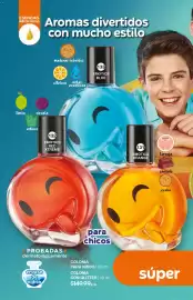 Catálogo Fuller Página 52