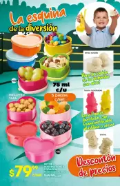 Catálogo Fuller Página 61