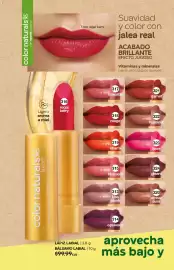 Catálogo Fuller Página 94