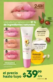 Catálogo Fuller Página 95