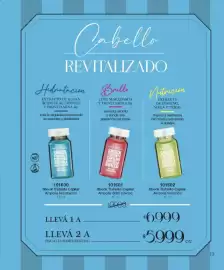 Catálogo Violetta Cosméticos Página 13