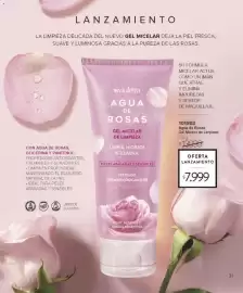 Catálogo Violetta Cosméticos Página 31