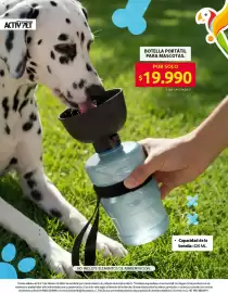 Catálogo Ara semana 6 Página 5