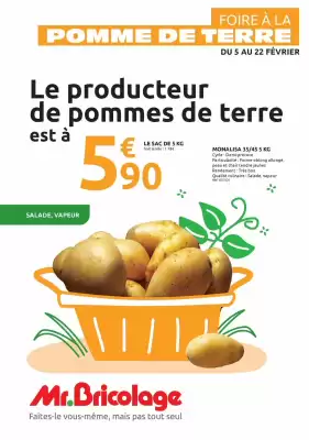 Catalogue Mr Bricolage (valable jusqu'au 22-02)