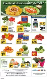 Food Lion weekly ad week 6 Page 14