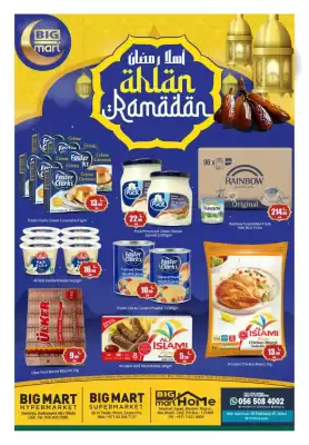 Bigmart leaflet (valid until 15-02)