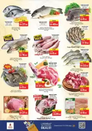 Nesto catalogue Page 21