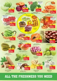 Nesto catalogue Page 3