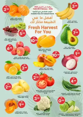 Grand Emirates Market catalogue (valid until 8-02)