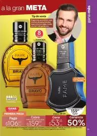 Catálogo Fuller Página 11