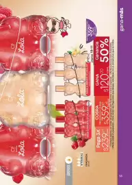 Catálogo Fuller Página 13