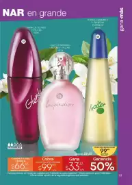 Catálogo Fuller Página 17