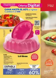 Catálogo Fuller Página 28