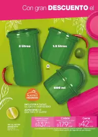 Catálogo Fuller Página 30