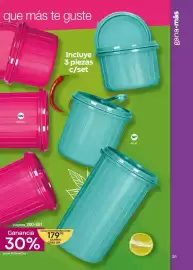 Catálogo Fuller Página 31