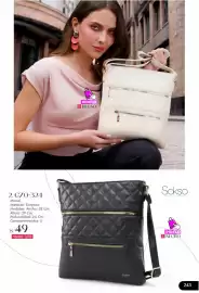 Catálogo Sokso Página 243