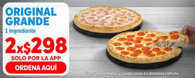 Catálogo Domino's Pizza Página 2