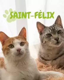 Catalogue Médor et Compagnie page 1