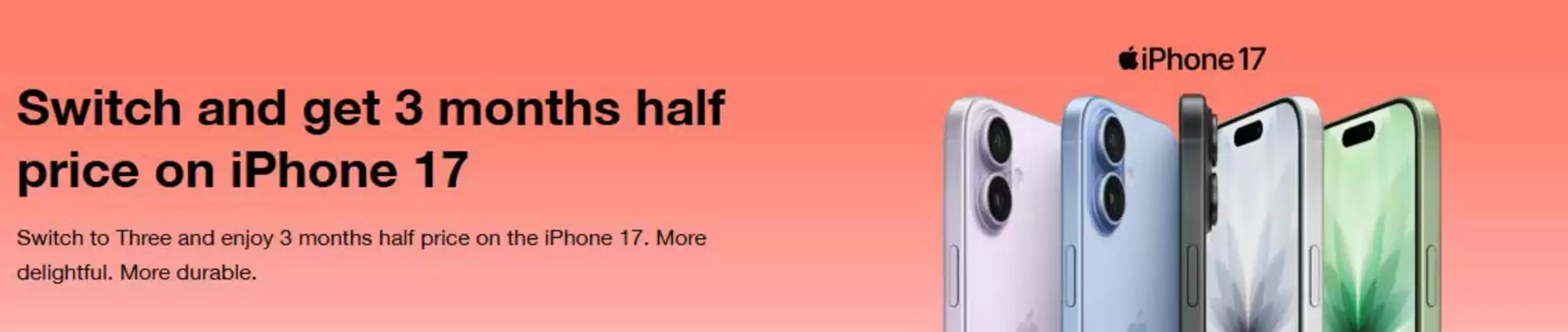 Three leaflet (valid until 24-02)