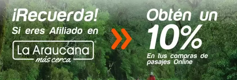 Catálogo Pullman Bus Página 1