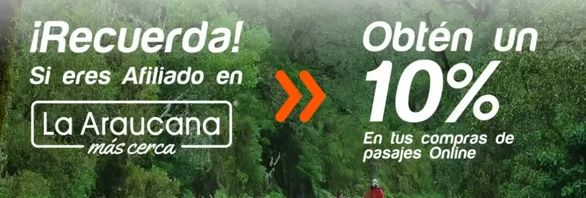 Catálogo Pullman Bus (válido hasta 28-02)