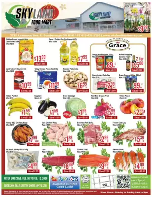 Skyland Foodmart flyer (valid until 13-02)